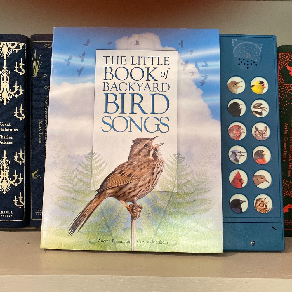 The Little Book of Backyard Songs
